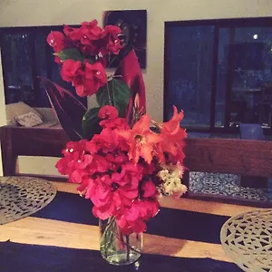Bed and breakfast Escarabajo Rojo